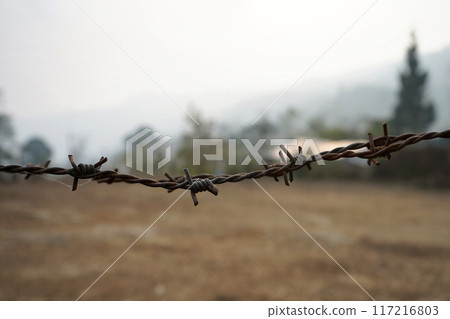 Barbed wire in Village for Protection Barbed wire in Village for Protection 117216803