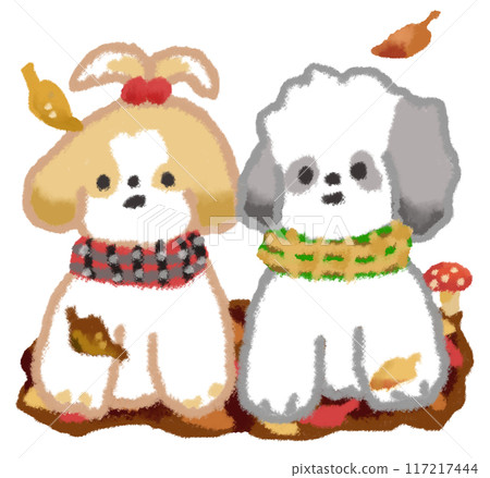 Autumn leaves and cute Shih Tzu 117217444