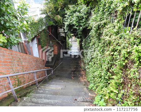 Alley with lots of greenery Alley scenery Green Stairs Steps Green Alley with lots of greenery Alley scenery Green Stairs Steps Green 117217756