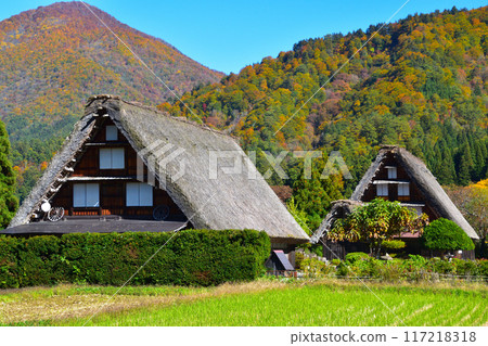 Autumn Shirakawa-go Autumn Shirakawa-go 117218318