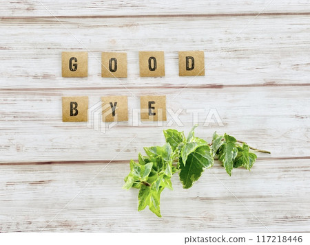 GOOD BYE lettering and ivy_whiteboard background 117218446