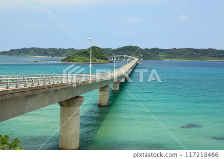 一座風景如畫的橋 一座風景如畫的橋 117218466