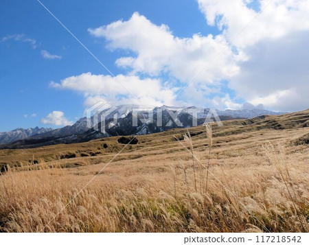First snow on Mount Aso and the grassland of Usu (Kumamoto Prefecture) 117218542