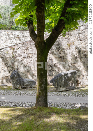 Vertical photo of Brescia park, tree dividing lion sculptures Vertical photo of Brescia park, tree dividing lion sculptures 117218800
