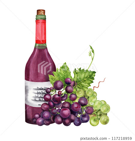 Bottle of red wine with grapes and green grape vines and leaves. Hand drawn watercolor illustration on transparent background Bottle of red wine with grapes and green grape vines and leaves. Hand drawn watercolor illustration on transparent background 117218959