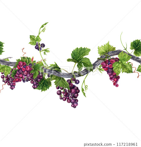 Seamless border with long grape vine, green leaves, tendrils and bunch of grapes. Hand drawn watercolor illustration of an endless element Seamless border with long grape vine, green leaves, tendrils and bunch of grapes. Hand drawn watercolor illustration of an endless element 117218961