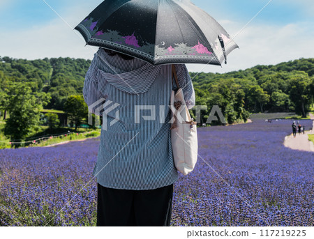 [Lavender field: Nanarisawa and the woman with a parasol] 117219225