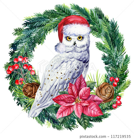 Cute watercolor owl in Santa hat on a white background, Christmas decorations, Funny new year polar owl, holiday card Cute watercolor owl in Santa hat on a white background, Christmas decorations, Funny new year polar owl, holiday card 117219535