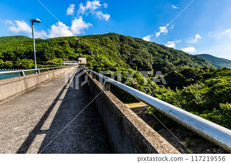 鮮綠色的神浦水壩【長崎市】 117219556