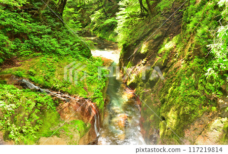 栃木縣鹽谷郡鹽谷町莊澤泉水風景 117219814