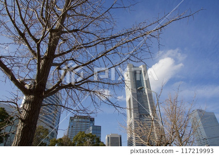 橫濱港未來春天入境 橫濱港未來春天入境 117219993