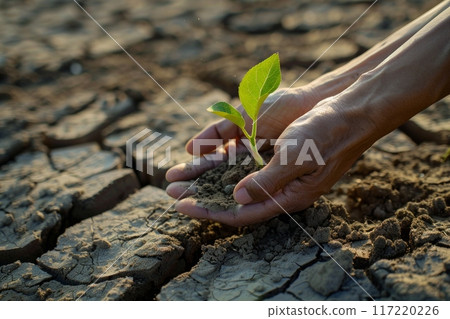 A hand holding a seedling contrasts with an arid background, symbolizing hope and growth in adverse conditions A hand holding a seedling contrasts with an arid background, symbolizing hope and growth in adverse conditions 117220226