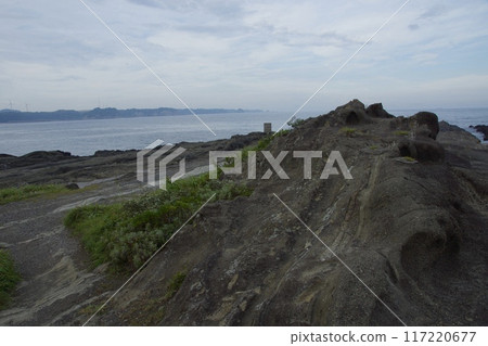 Jogashima Park in midsummer - Inbound 117220677