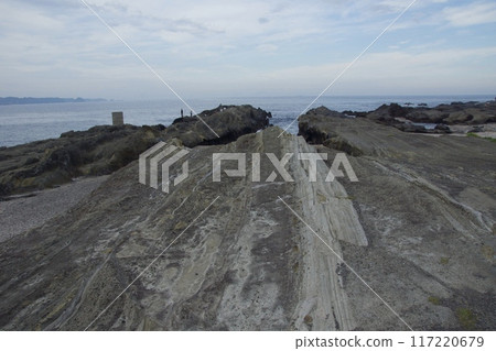 Jogashima Park in midsummer - Inbound 117220679