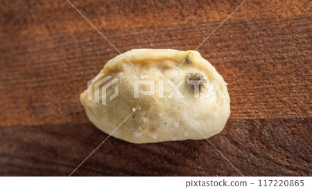 Spoiled dumpling with visible fungus and mold growth on its surface. Spoiled dumpling with visible fungus and mold growth on its surface. 117220865