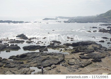 仲夏城島公園入境 仲夏城島公園入境 117220965