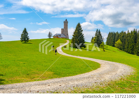 A winding gravel path leads up to the Dalimil Lookout Tower in Czechia, surrounded by lush green fields and towering trees. The sky is a bright blue with fluffy white clouds. 117221000