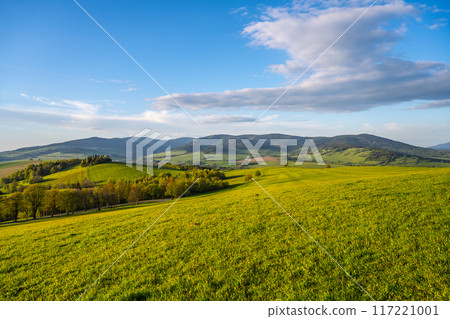 A wide view of a grassy meadow with trees in the foreground and the Kralicky Sneznik Mountains in the background. The sky is blue and there are white clouds. A wide view of a grassy meadow with trees in the foreground and the Kralicky Sneznik Mountains in the background. The sky is blue and there are white clouds. 117221001