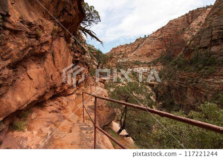 Canyon Overlook Trail, Zion National Park, Utah 117221244