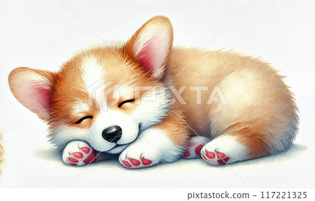 柯基犬 柯基犬 117221325