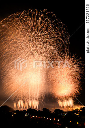 The Todabashi Fireworks Festival is one of the most popular in the Kanto region. 117221816