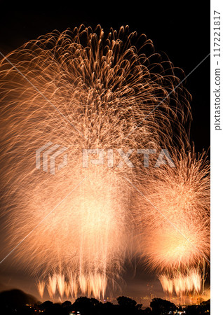 The Todabashi Fireworks Festival is one of the most popular in the Kanto region. 117221817