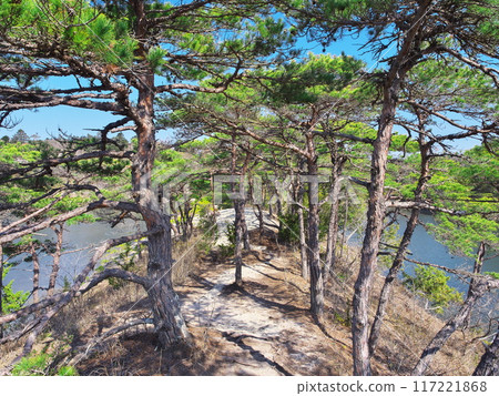 Early Spring in Miyagi Prefecture: Natural Pier, Rifu Umanose 117221868