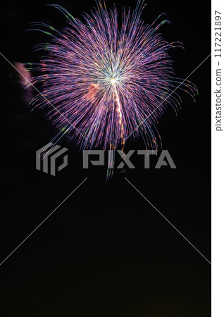 全國聞名的戶田橋、板橋煙火大會 全國聞名的戶田橋、板橋煙火大會 117221897