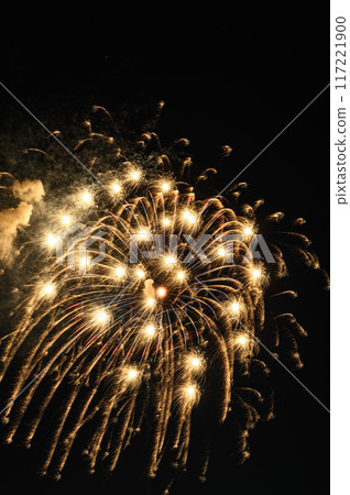The nationally famous Todabashi Fireworks Festival 117221900