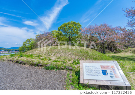 Tomb No. 126 in Shinzawa Senzuka Kofun Park, Kashihara City, Nara Prefecture 117222436