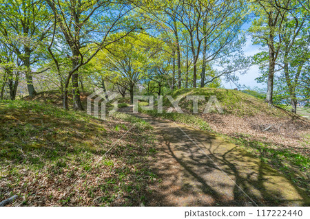 奈良縣橛原市新澤西千塚古墳公園的圓形墳墓和新鮮綠樹 117222440