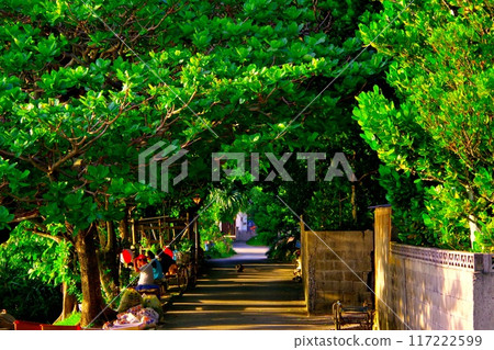 A nostalgic and atmospheric greenway in Bizen Village 117222599