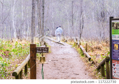 Early summer on the Kamikochi Nature Trail: Early morning forest walk by Kumabell 117222730