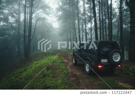 Off-road vehicles in the foggy forest 117222847