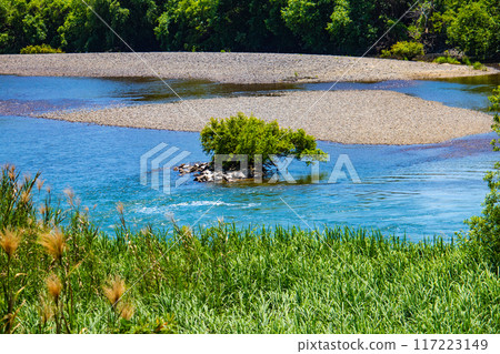 [Kyoto scenery] The gentle flow of the Uji River (from Kangetsu Bridge to Uji Bridge) 117223149