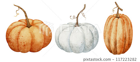 Pumpkins clipart set. Watercolor illustration with orange and white gourd on isolated background. Drawing of autumn vegetables for harvest festival or thanksgiving invitations or greeting cards. Pumpkins clipart set. Watercolor illustration with orange and white gourd on isolated background. Drawing of autumn vegetables for harvest festival or thanksgiving invitations or greeting cards. 117223282