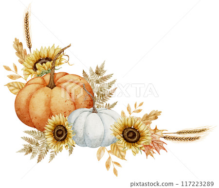 Watercolor illustration with Pumpkins and Sunflowers for harvest festival greeting cards or wedding invitations. Drawing of autumn leaves and fall plants and branches on isolated background. 117223289