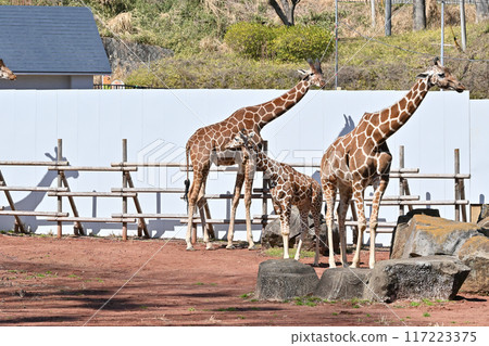 Kirin Tama Zoo Kirin Tama Zoo 117223375