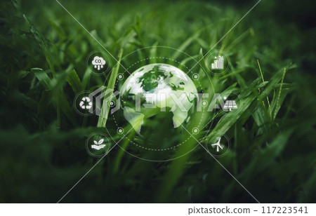 Globe on the green grass in the forest, environmental concept 117223541