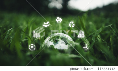Globe on the green grass in the forest, environmental concept 117223542