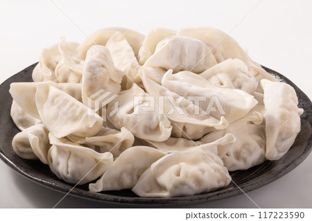Frozen dumplings Frozen dumplings 117223590