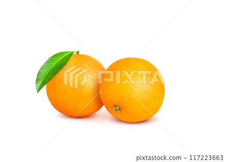 Full orange, two oranges, with green leaves isolated on a white background. Full orange, two oranges, with green leaves isolated on a white background. 117223663