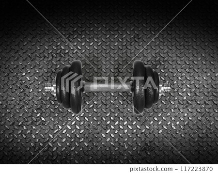 Dumbbells resting on a steel plate, top view 117223870