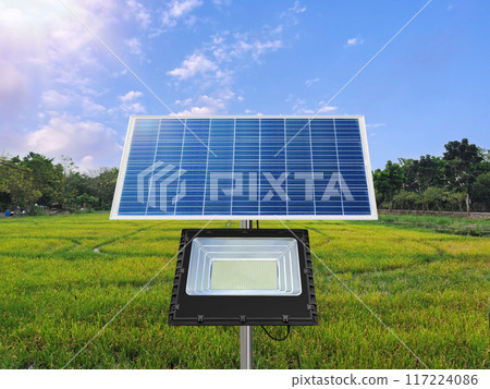 A photovoltaic spotlight uses solar energy in the middle of a rice field. pure energy concept 117224086