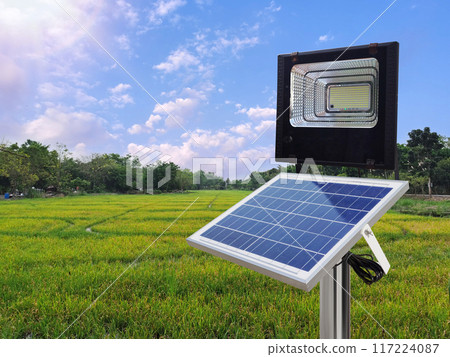 A photovoltaic spotlight uses solar energy in the middle of a rice field. pure energy concept 117224087