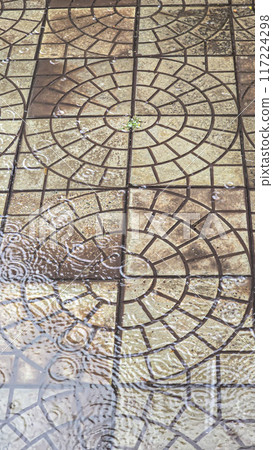 Street tiles wet from rain. Different textures of stone. Large drops and puddles Street tiles wet from rain. Different textures of stone. Large drops and puddles 117224298