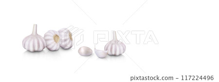 raw garlic isolated on white background Area for entering text raw garlic isolated on white background Area for entering text 117224496
