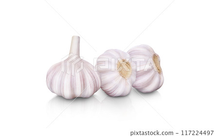raw garlic isolated on white background raw garlic isolated on white background 117224497