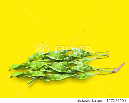 Petai or bitter beans or stinky beans on isolated on yellow background Petai or bitter beans or stinky beans on isolated on yellow background 117224504