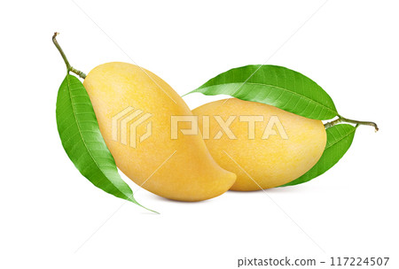 Ripe Mango with green leaf isolated on white background. Clipping path. Ripe Mango with green leaf isolated on white background. Clipping path. 117224507